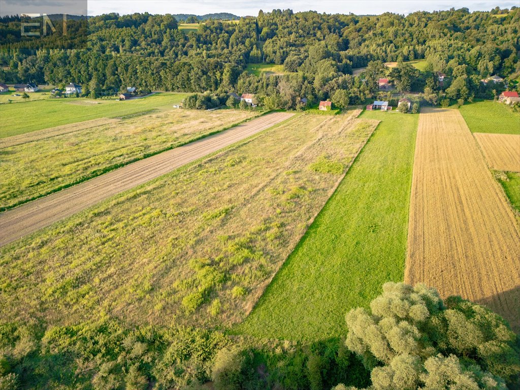 Działka rolna na sprzedaż Kobyle  7 200m2 Foto 5