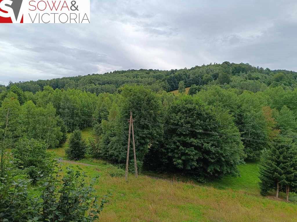 Działka inna na sprzedaż Olszyniec  4 900m2 Foto 2