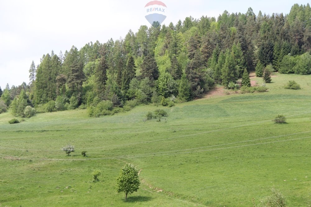 Działka leśna na sprzedaż Krośnica  8 049m2 Foto 1