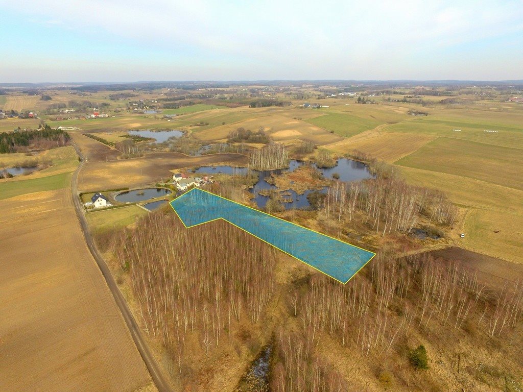 Na sprzedaż działka 6000 m² z lasem i pięknym widokiem Skrzydłowo  6 000m2 Foto 1
