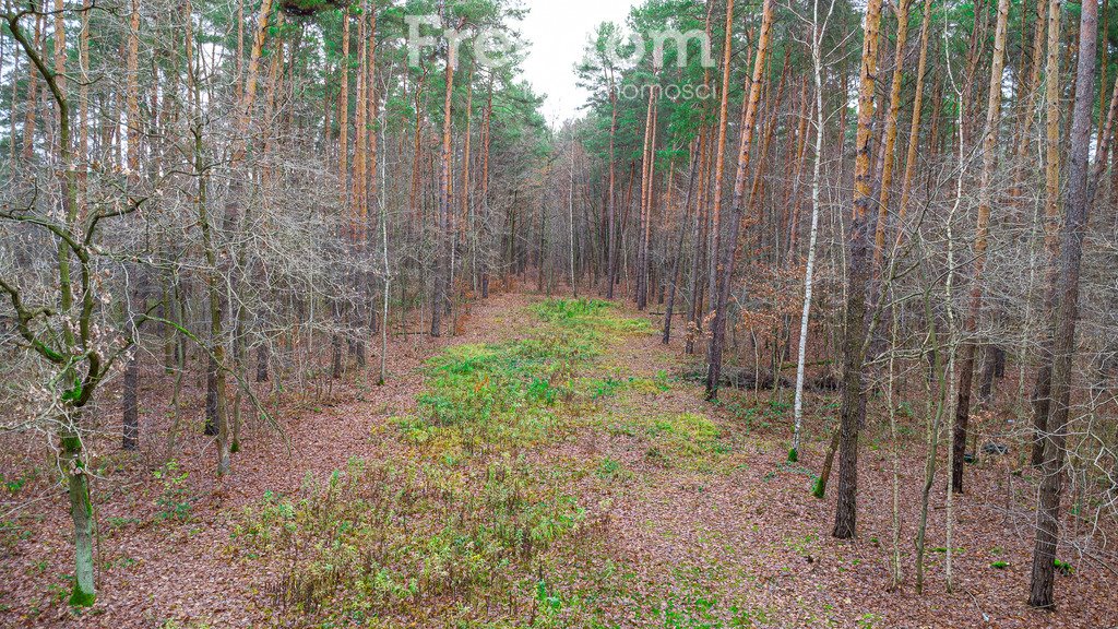 Działka budowlana na sprzedaż Sękocin-Las, Al. Krakowska  2 392m2 Foto 11