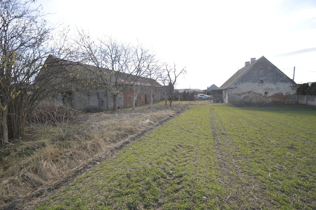 Działka budowlana na sprzedaż Nowa Wieś Książęca  6 400m2 Foto 2