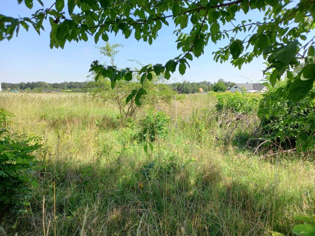 Działka budowlana na sprzedaż Wieruszów, Wieruszów  2 100m2 Foto 6