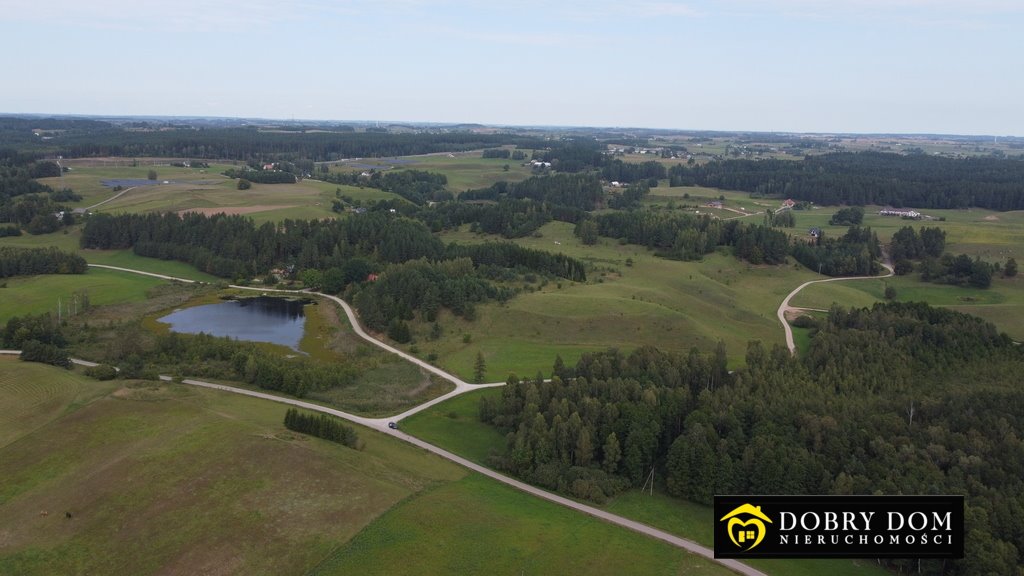 Działka leśna na sprzedaż Osinki  5 585m2 Foto 3