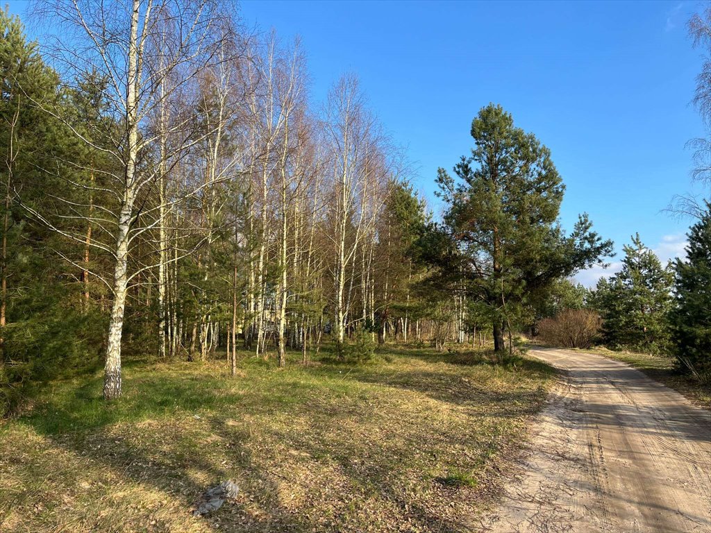 Działka budowlana na sprzedaż Kolonia Piaski  3 400m2 Foto 8