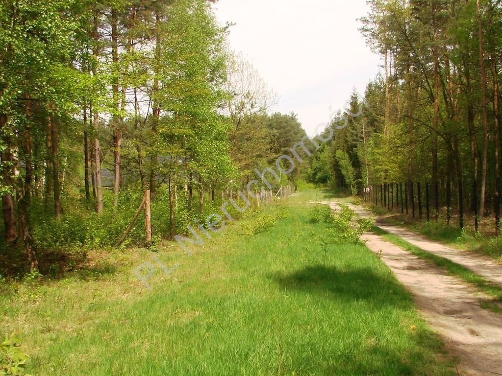 Działka 3 800 m² w Książenicach (blisko Grodziska Mazowieckiego) Książenice  3 800m2 Foto 1