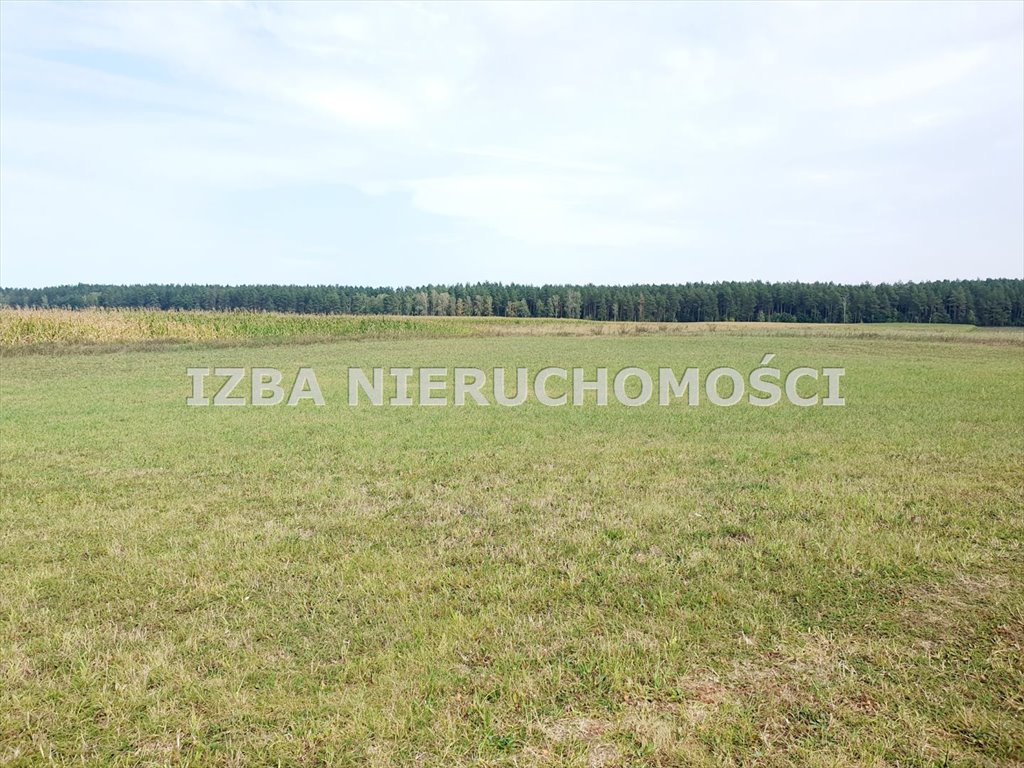 Działka rekreacyjna na sprzedaż Grabnik  3 400m2 Foto 18