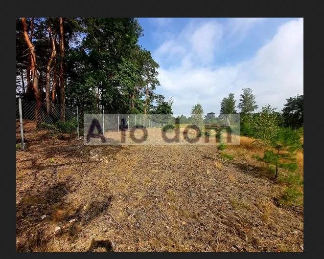 Działka 7130 m² pod dom jednorodzinny, ogrodzona Cięciwa  7 130m2 Foto 1