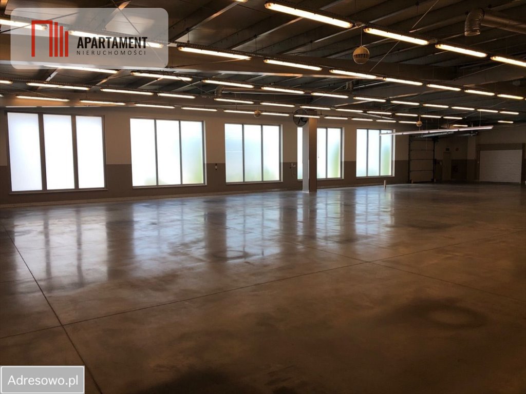 Lokal użytkowy na sprzedaż Piła, Górne  3 090m2 Foto 6