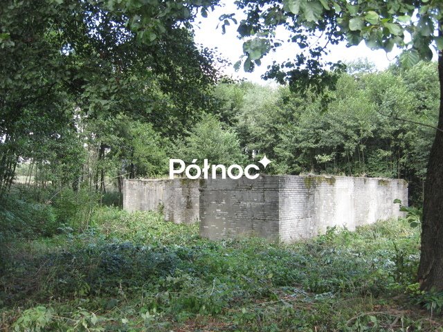 Działka 10 980 m² z wysokim podpiwniczeniem, media, cisza Bydlin  10 980m2 Foto 1