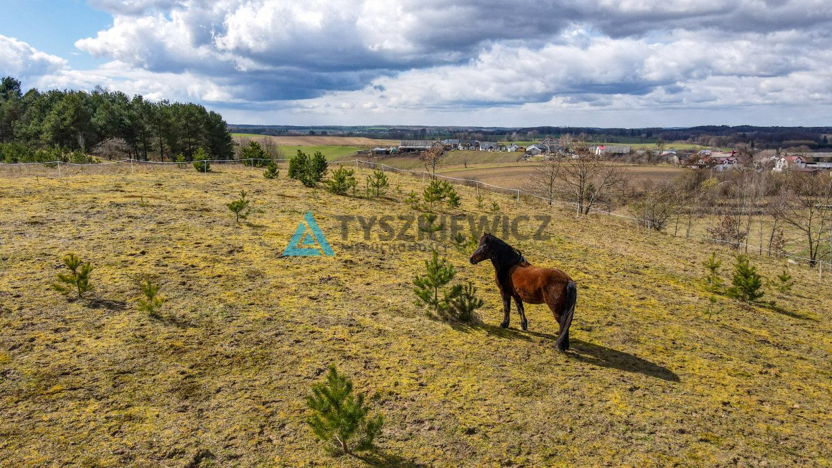 Działka rolna na sprzedaż Zakrzewo  3 000m2 Foto 4