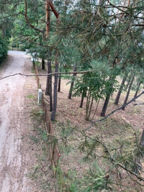 Działka leśna z prawem budowy na sprzedaż Antoniówka, Słowików  1 800m2 Foto 5