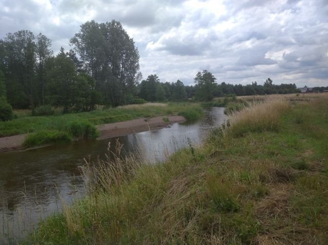 Działka rolna na sprzedaż Starowola, Puchacza  1 100m2 Foto 6