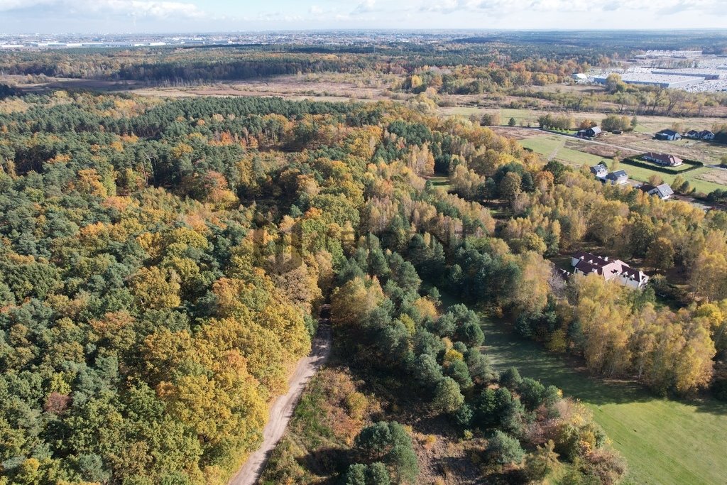 Działka inwestycyjna na sprzedaż Strzeniówka  9 385m2 Foto 14