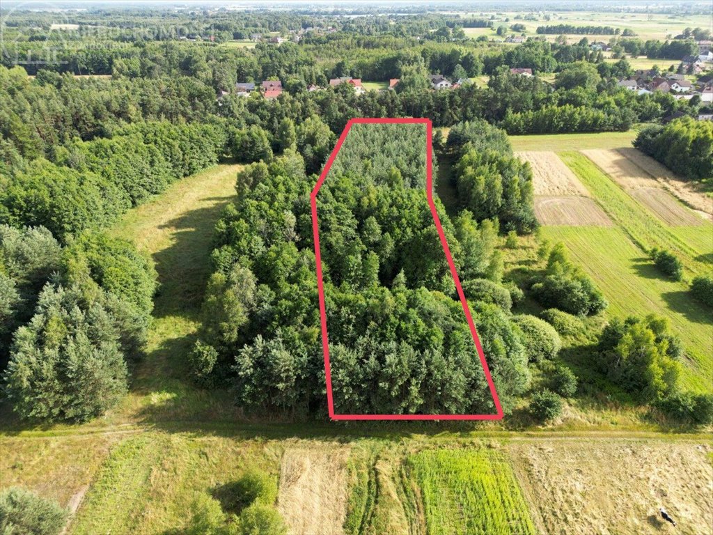 Działka rolna na sprzedaż Zaborów  5 300m2 Foto 10