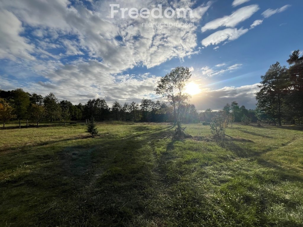 Działka budowlana na sprzedaż Zarośle Cienkie  25 363m2 Foto 10