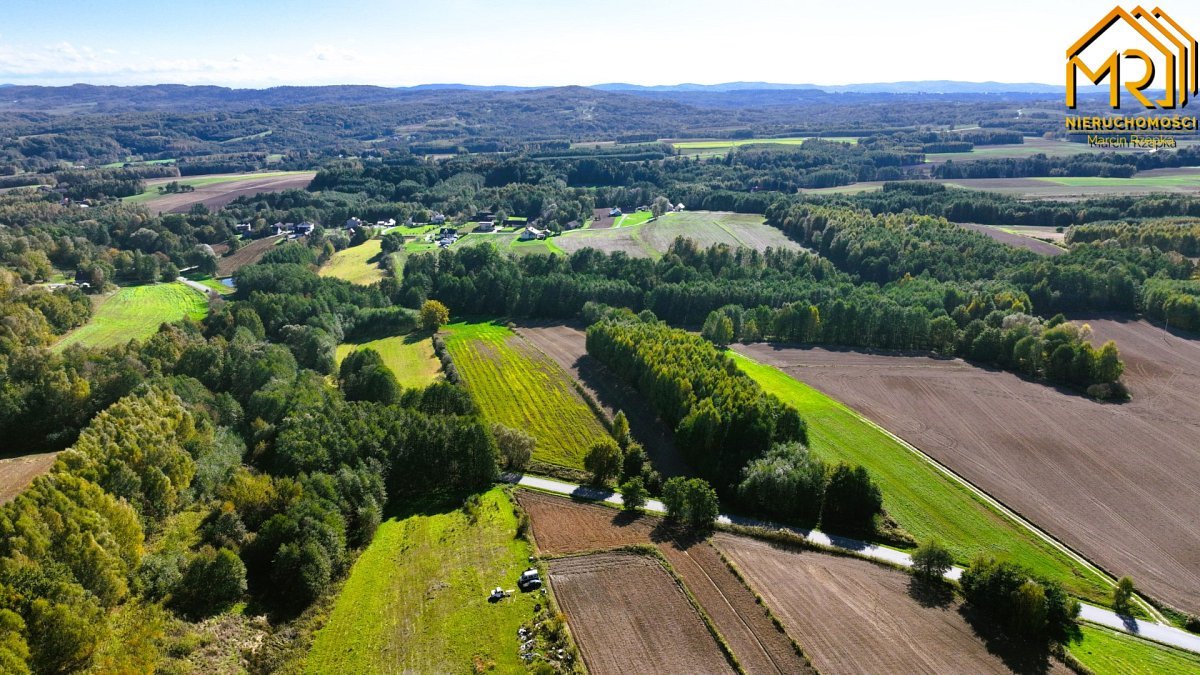 Działka inna na sprzedaż Łęki Górne  7 000m2 Foto 18