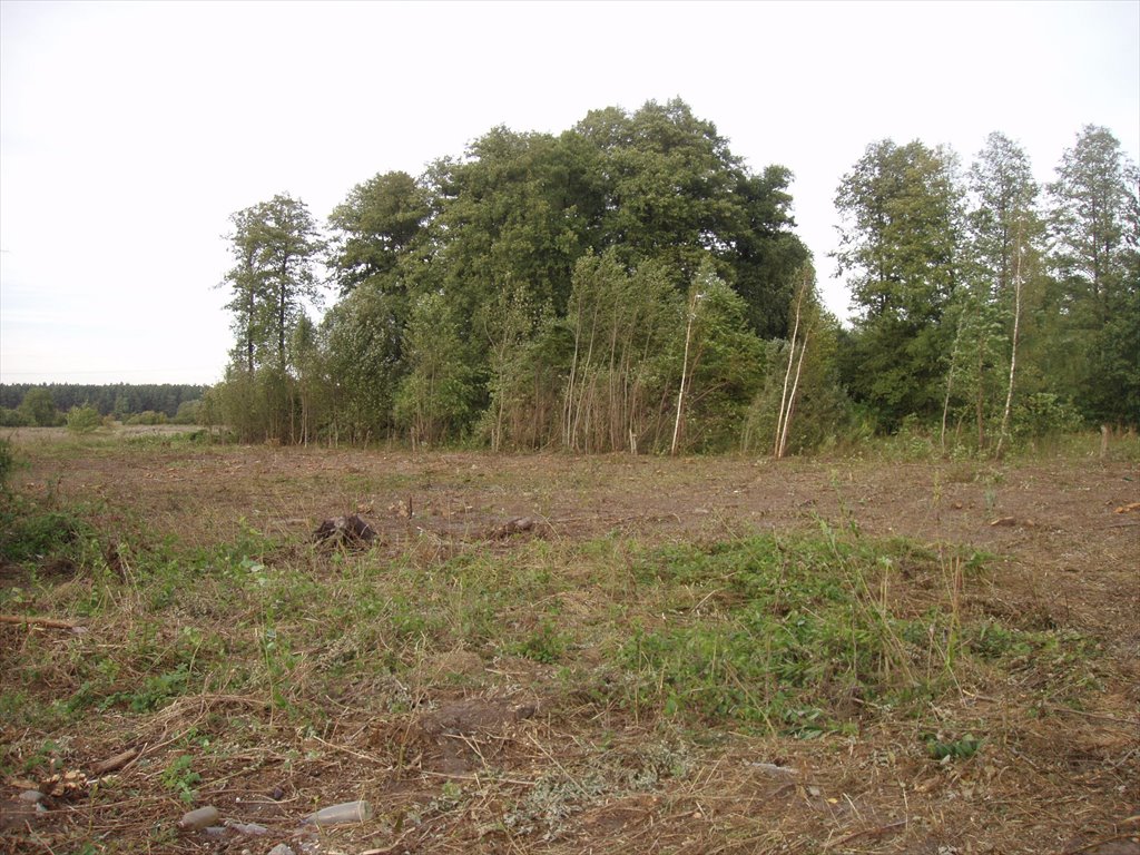 Działka 1000 m² pod zabudowę jednorodzinną w Klembowie Klembów  1 000m2 Foto 1