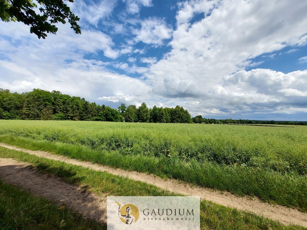 Działka 3010 m2 w malowniczym Borkowie Lęborskim Borkowo Lęborskie  3 010m2 Foto 1