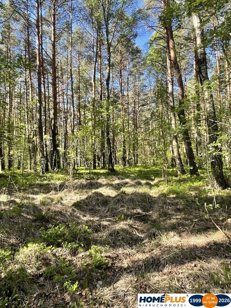 Zdjęcie 7