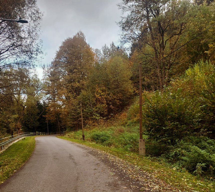 Działka inna na sprzedaż Różanka  7 500m2 Foto 8