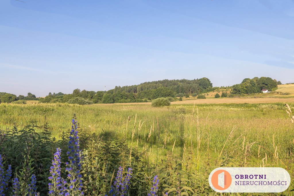 Działka inna na sprzedaż Leźno  3 121m2 Foto 4