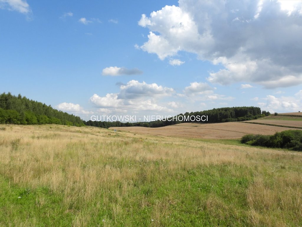 Działka letniskowa 1,88 ha z widokami i dostępem do jeziora Lekarty  18 835m2 Foto 1