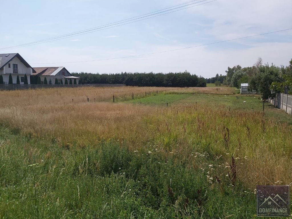 Działka budowlana na sprzedaż Skrzynka  1 300m2 Foto 4