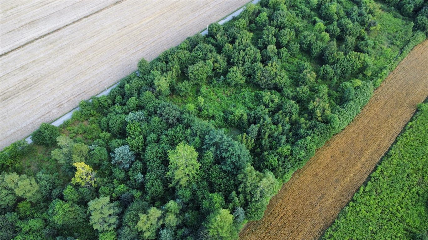 Działka budowlana na sprzedaż Giebło  3 828m2 Foto 8