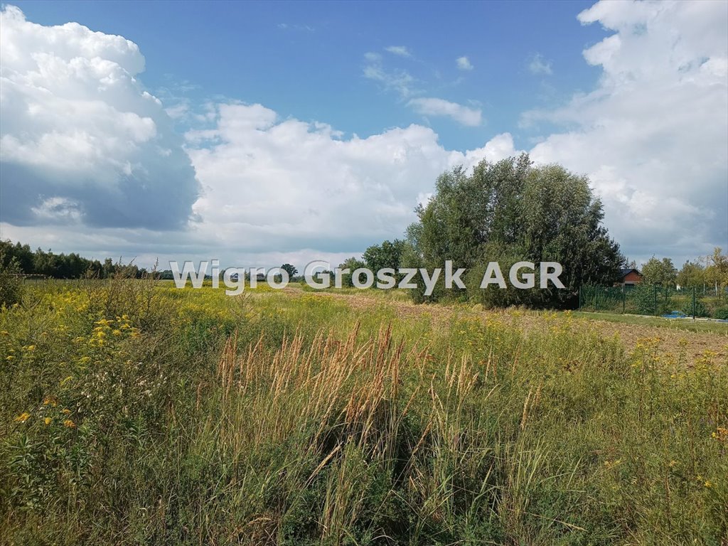 Działka inna na sprzedaż Sowia Wola  10 100m2 Foto 1