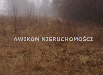Działka budowlana na sprzedaż Skierniewice 130 000m2 Foto 1 Działka budowlana na sprzedaż Skierniewice 130 000m2 Foto 1