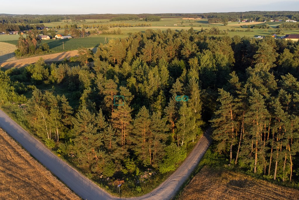 Działka budowlana na sprzedaż Podhorodnianka  5 900m2 Foto 3