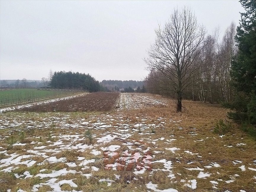 Działka siedliskowa na sprzedaż Mogielnica  33 800m2 Foto 17