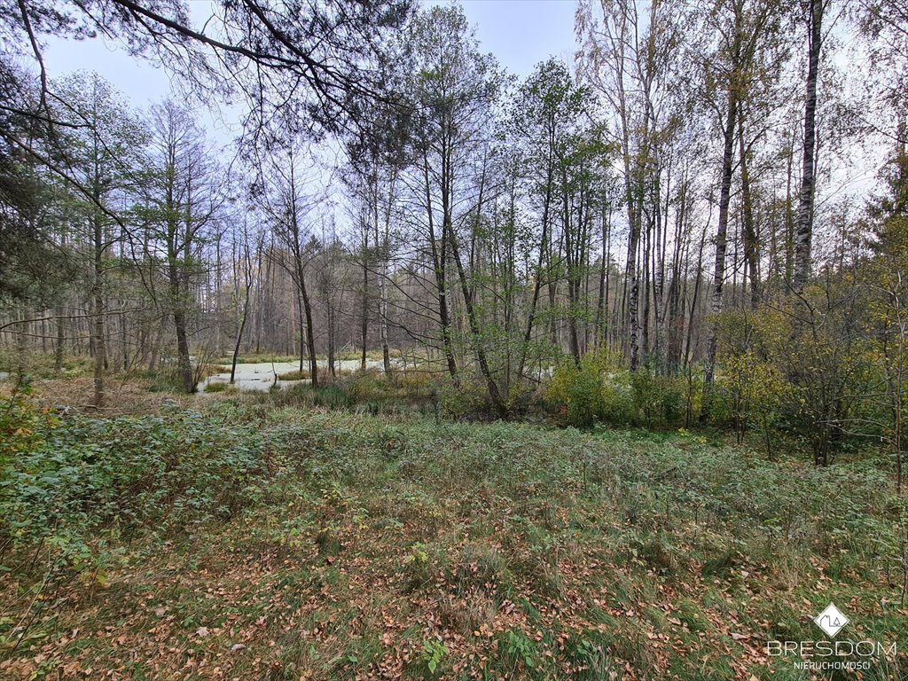 Działka rolna na sprzedaż Dywity  4 700m2 Foto 2