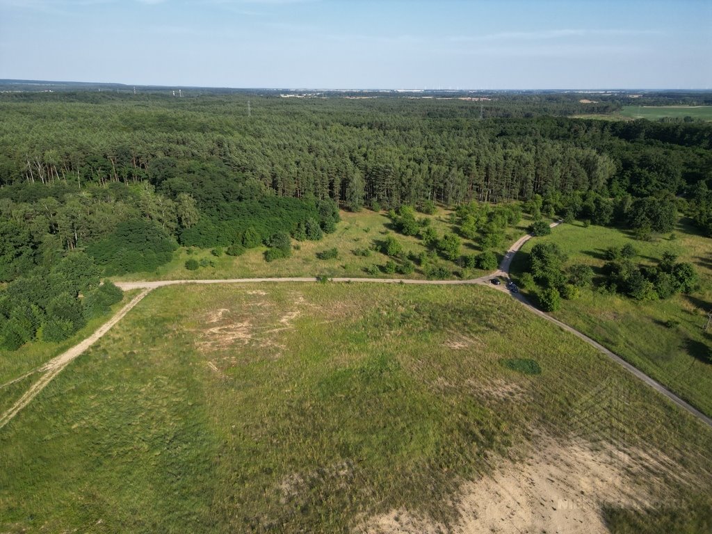 Działka budowlana na sprzedaż Daleszewo  42 300m2 Foto 10