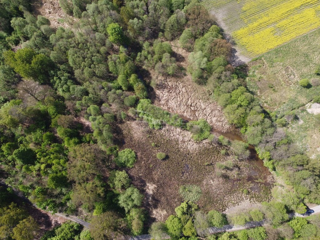 Działka inna na sprzedaż Kruszyn  26 000m2 Foto 3