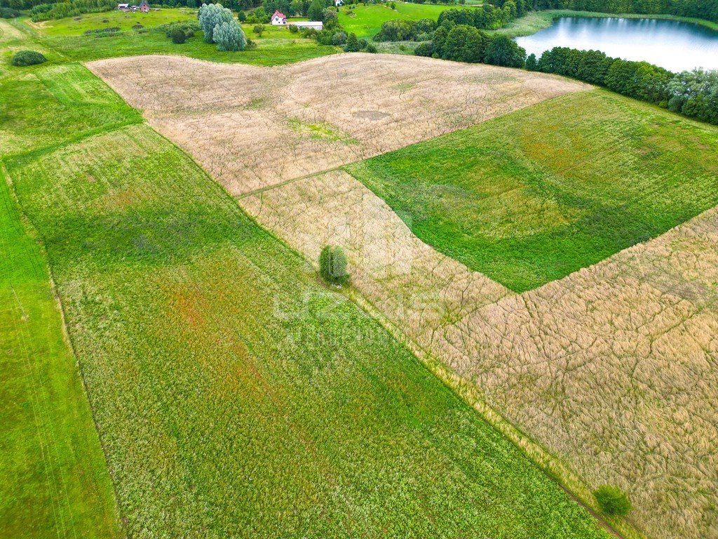 Działka budowlana na sprzedaż Warniłęg  56 500m2 Foto 4