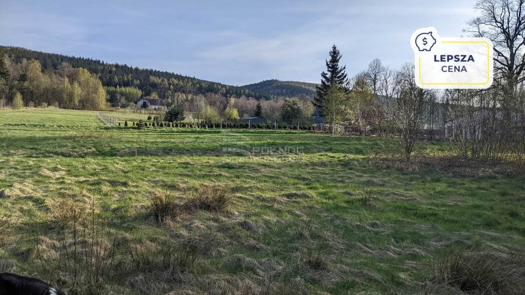 Działka budowlana na sprzedaż Świeradów-Zdrój, Długa  2 000m2 Foto 1