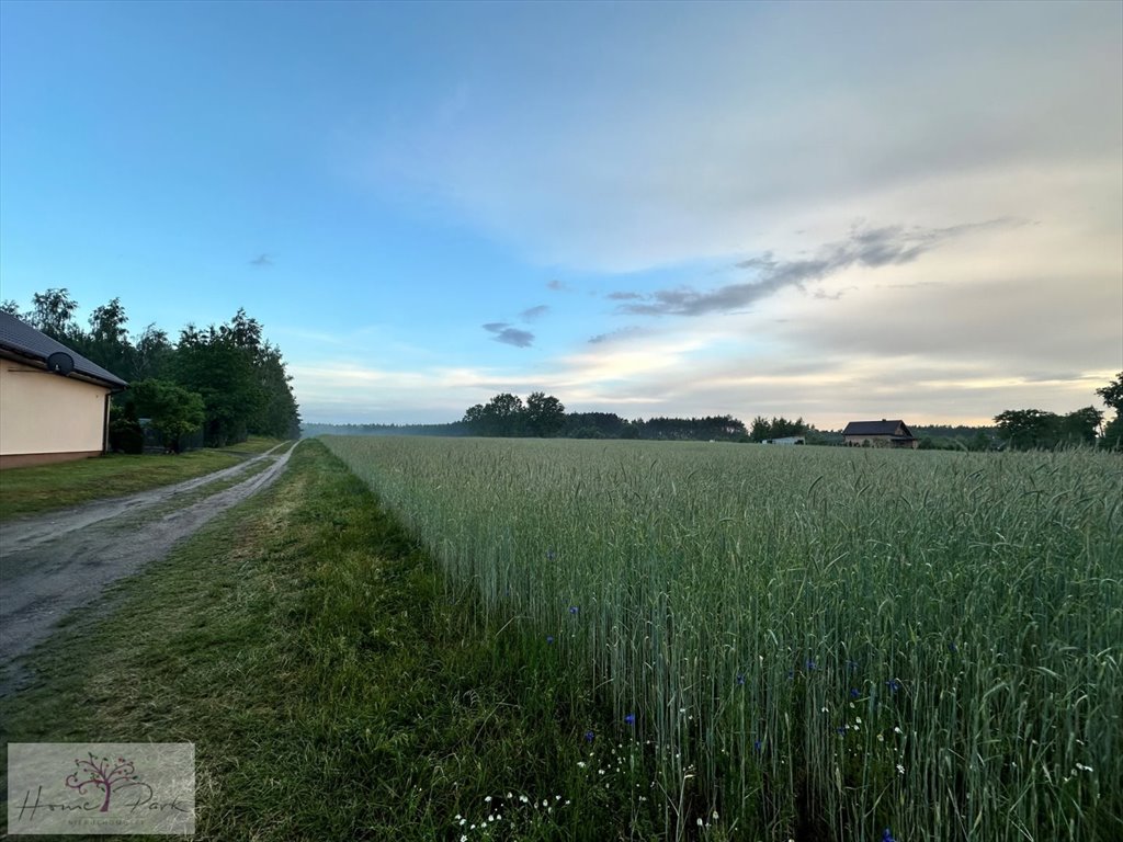 Działka inna na sprzedaż Dziewuliny  1 000m2 Foto 2