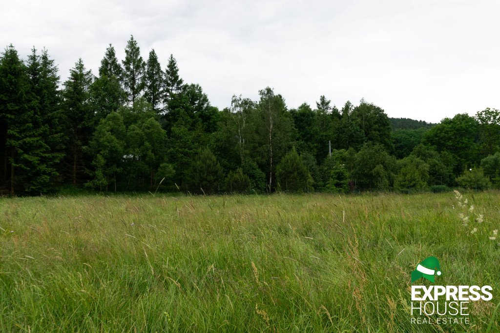 Działka budowlana na sprzedaż Stronie Śląskie  4 069m2 Foto 7