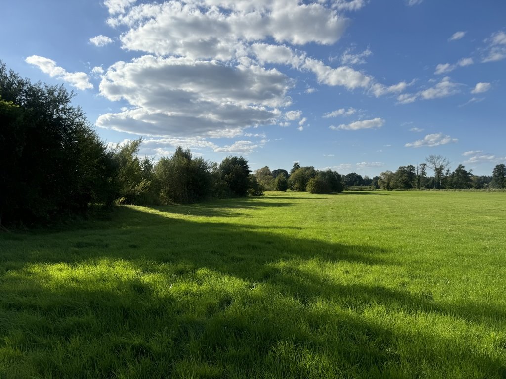 Działka rolna na sprzedaż Pabianice  20 000m2 Foto 5