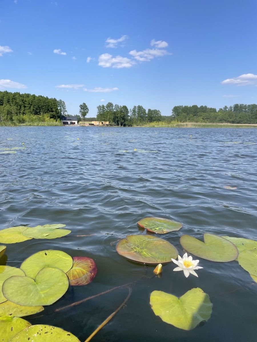 Mieszkanie czteropokojowe  na sprzedaż Sława  115m2 Foto 4