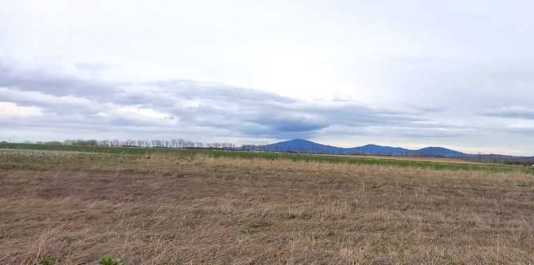 Działka inna na sprzedaż Świdnica, Witoszów Dolny  1 500m2 Foto 1