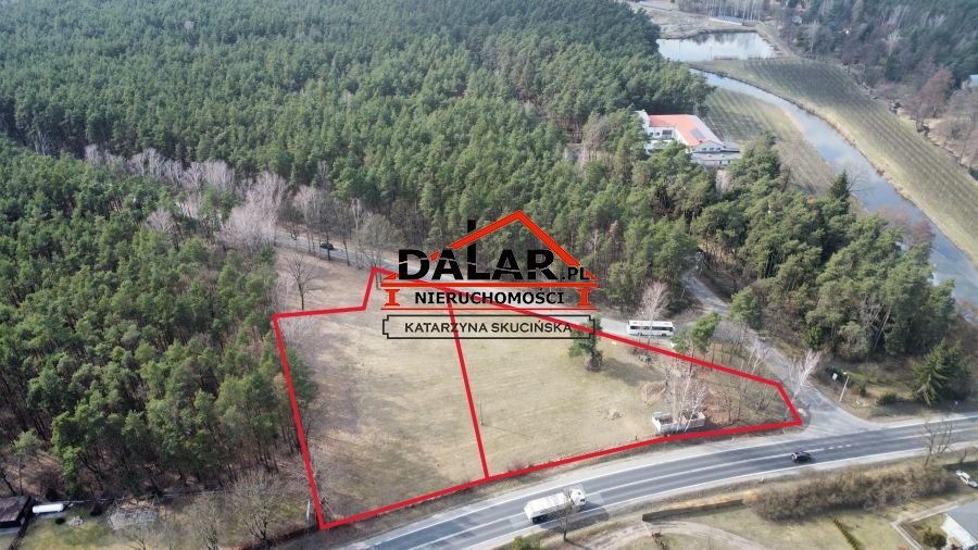 Działka inwestycyjna przy drodze nr 79 z dużym potencjałem Coniew  6 048m2 Foto 1