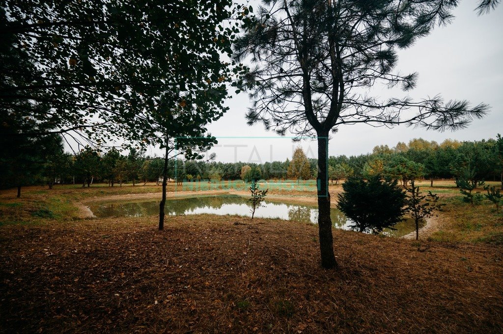 Działka budowlana na sprzedaż Podlasie  12 000m2 Foto 1