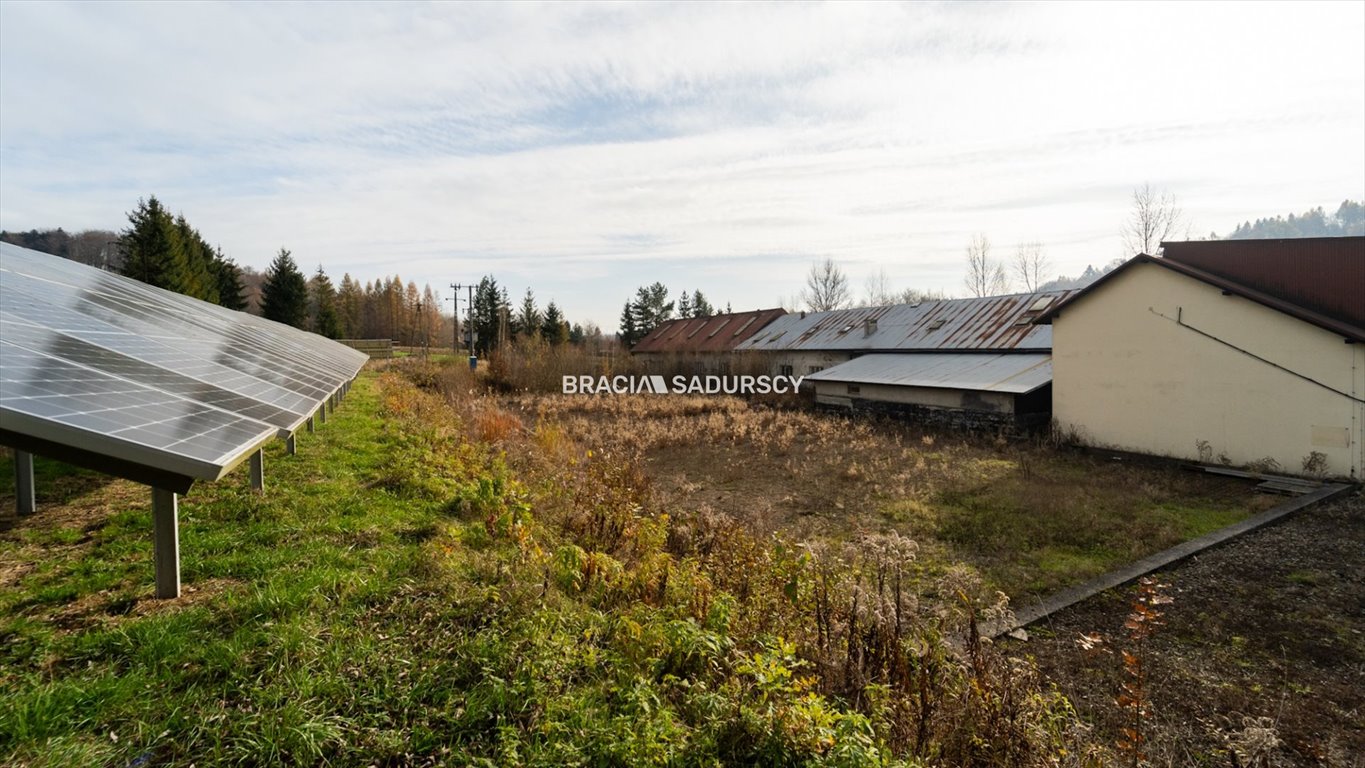 Lokal użytkowy na sprzedaż Leńcze, Leńcze, Leńcze  1 591m2 Foto 14