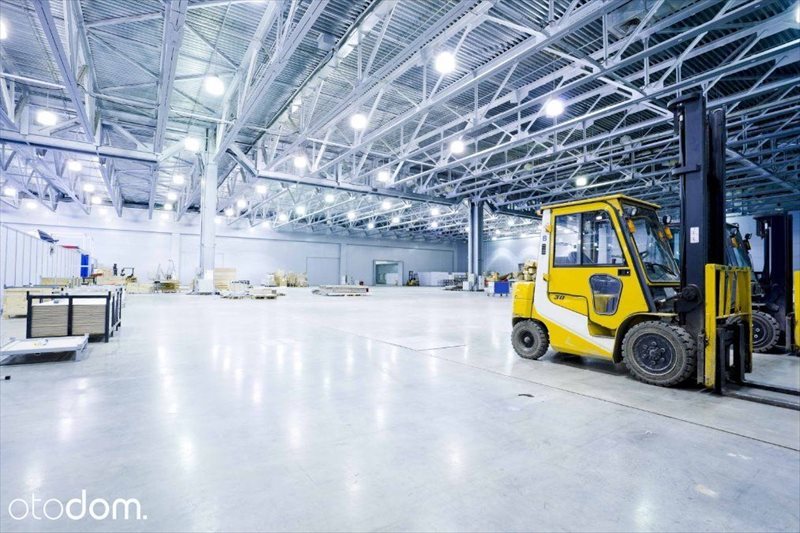 Lokal użytkowy na wynajem Piotrków Trybunalski 525m2 Foto 1 Lokal użytkowy na wynajem Piotrków Trybunalski 525m2 Foto 1