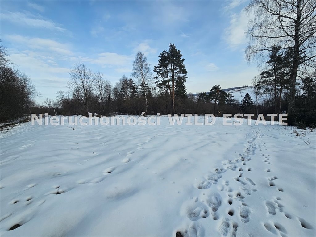 Działka w Bieszczadach z dostępem do mediów i potencjałem turystycznym Czarna, Olchowiec, Olchowiec  1 026m2 Foto 1