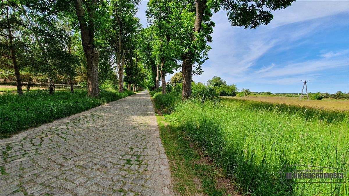 Działka inna na sprzedaż Nieżyn, działka  1 500m2 Foto 7