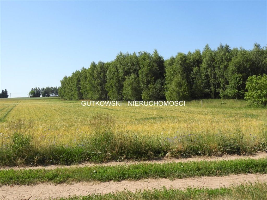 Polecam działkę 1,18 ha z dostępem do jezior i lasów Otręba  11 837m2 Foto 1